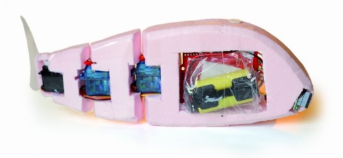 robofish