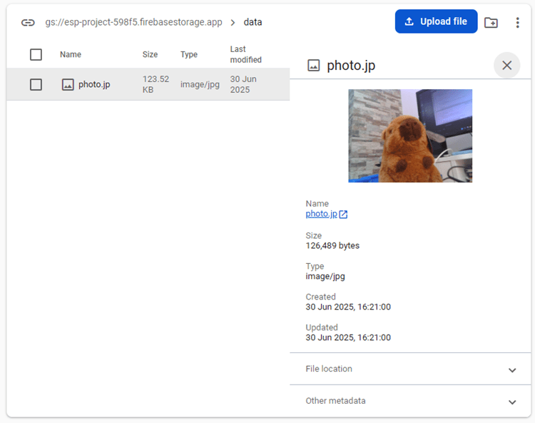 Picture Uploaded to Firebase Storage Metada
